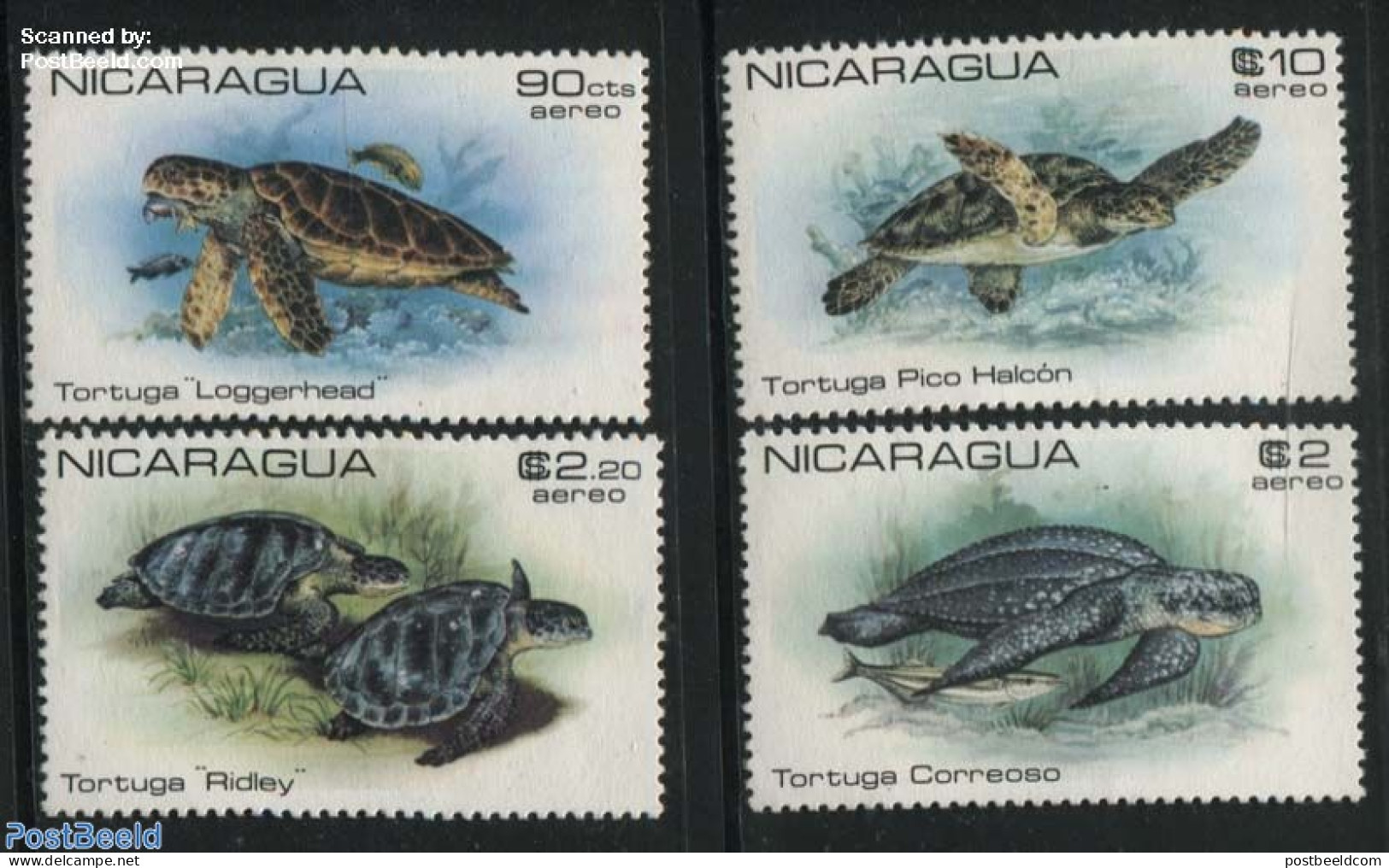 Nicaragua 1980 Turtles 4v, Without Overprints, RARE!, Mint NH, Nature - Various - Turtles - Errors, Misprints, Plate F.. - Fehldrucke