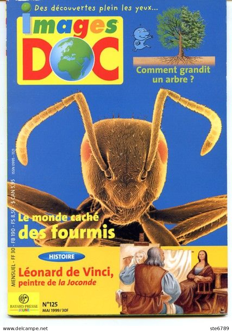 IMAGES DOC N° 125  Animaux Les Fourmis , Histoire Léonard De Vinci , Sciences Arbre - Dieren
