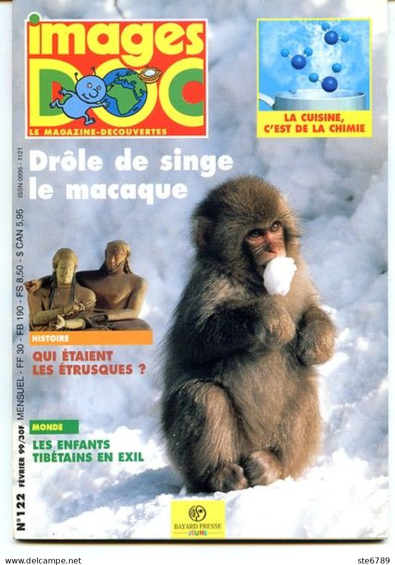 IMAGES DOC N° 122  Animaux Singe Macaque , Histoire Etrusques , Sciences Cuisine Chimie - Animales