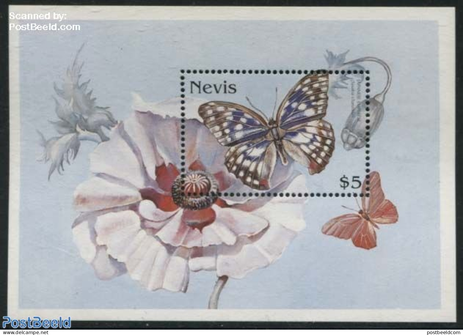 Nevis 1997 Sasakia Charondal S/s, Mint NH, Nature - Butterflies - St.Kitts-et-Nevis ( 1983-...)