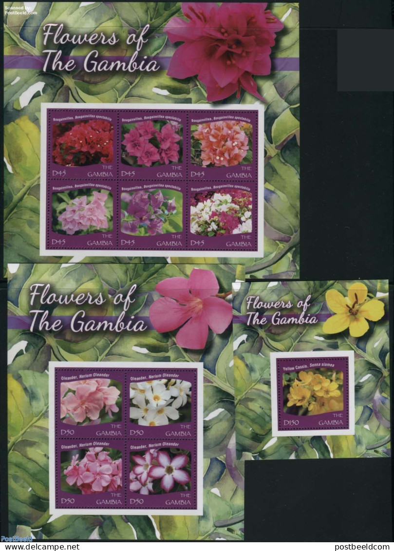 Gambia 2015 Flowers Of The Gambia 3 S/s, Mint NH, Nature - Flowers & Plants - Gambia (...-1964)