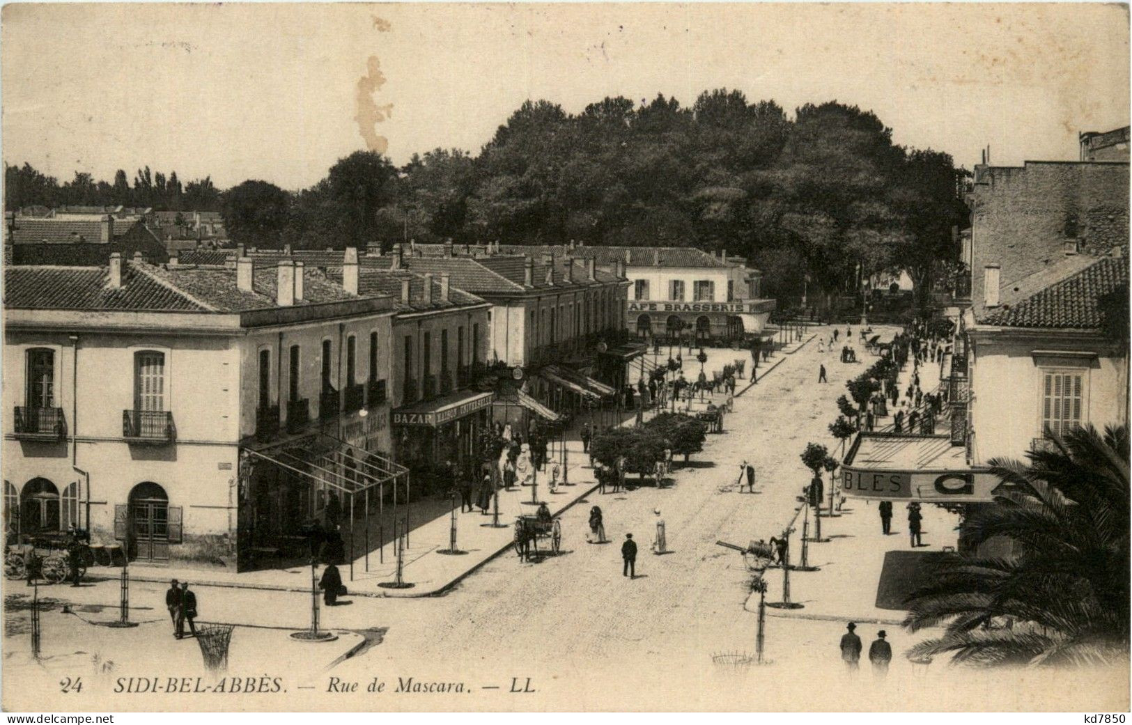 Sidi-Bel-Abbes - Rue De Mascara - Sidi-bel-Abbès