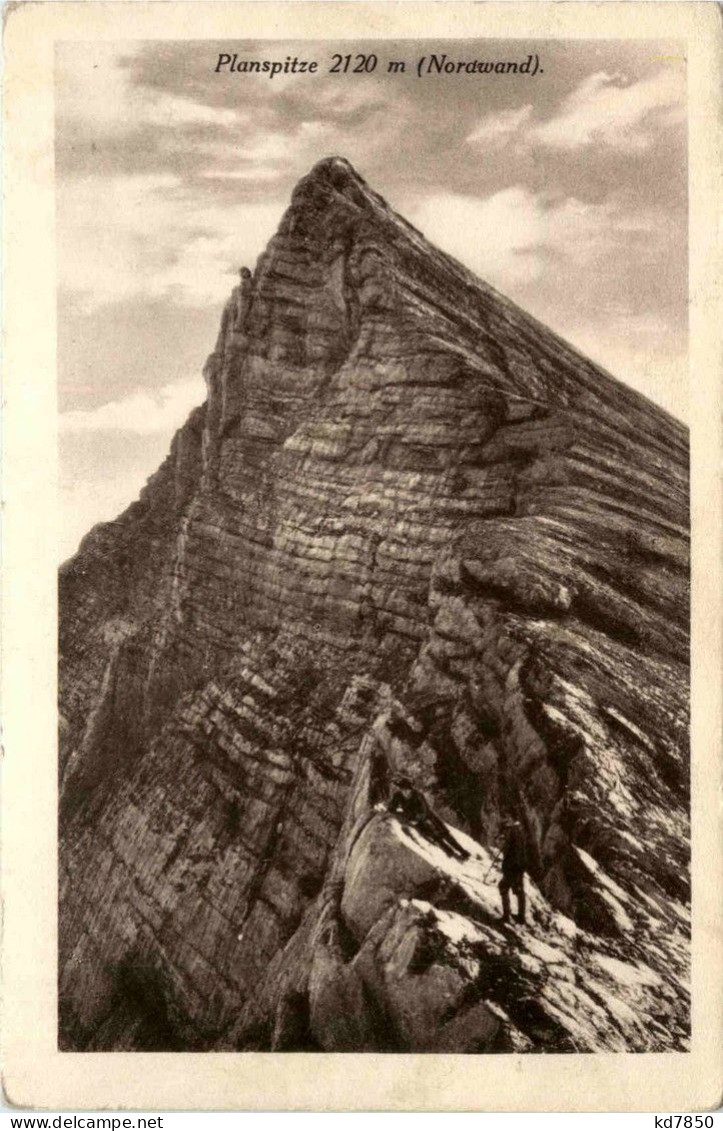 Gesäuse/Steiermark - Gesäuse, Planspitze Nordwand - Gesäuse