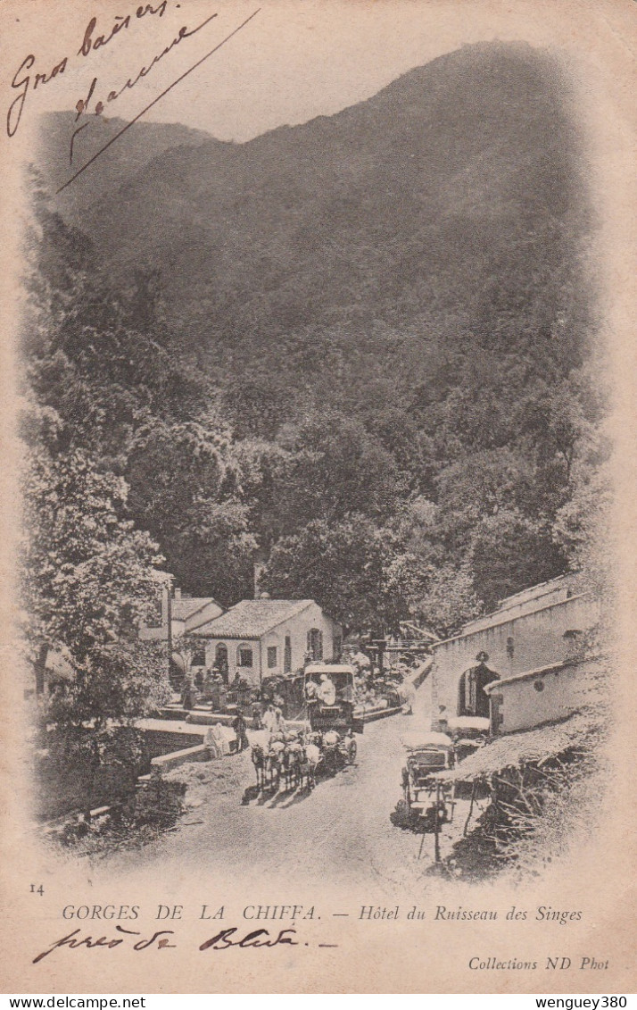 BLIDA   GORGES DE LA CHIFFA  -  Hôtel Du Ruisseau Des Singes  SUP  PLAN.  1905  ... Avec Diligence.   RARE - Blida