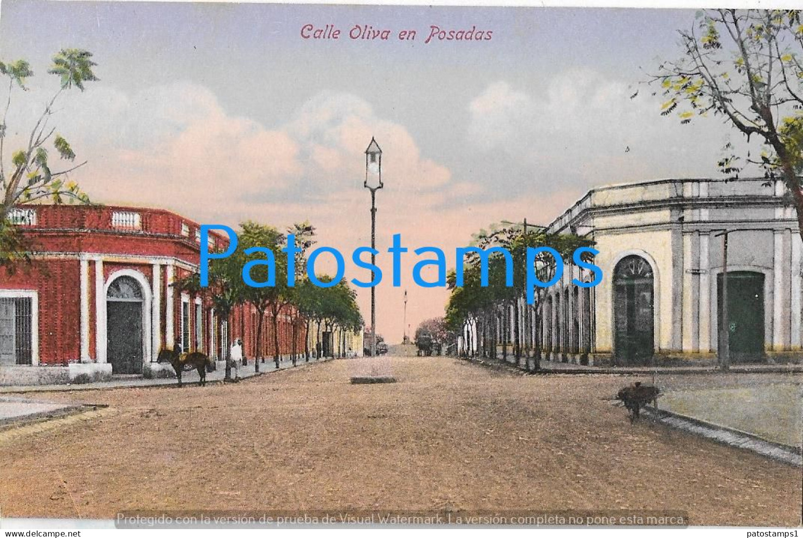 227534 ARGENTINA MISIONES POSADAS STREET CALLE OLIVA POSTAL POSTCARD - Argentina