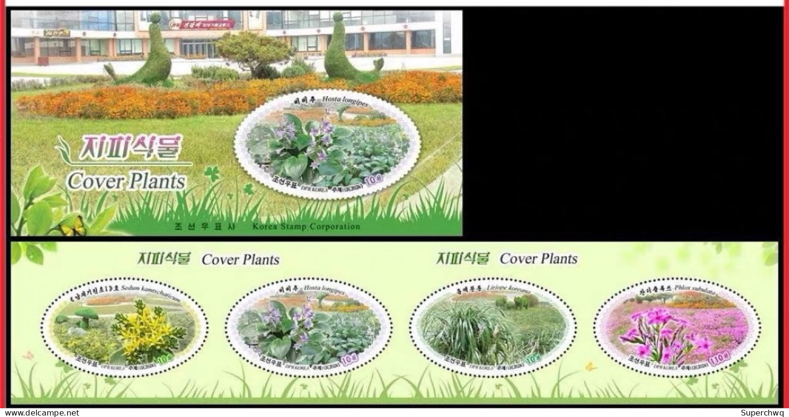 Korea North 2024 Ground Cover Plant (Fei Cai Long Handled Jade Hairpin Mai Dong Tian Lan Xiu Qiu),booklet MNH - Corea Del Norte