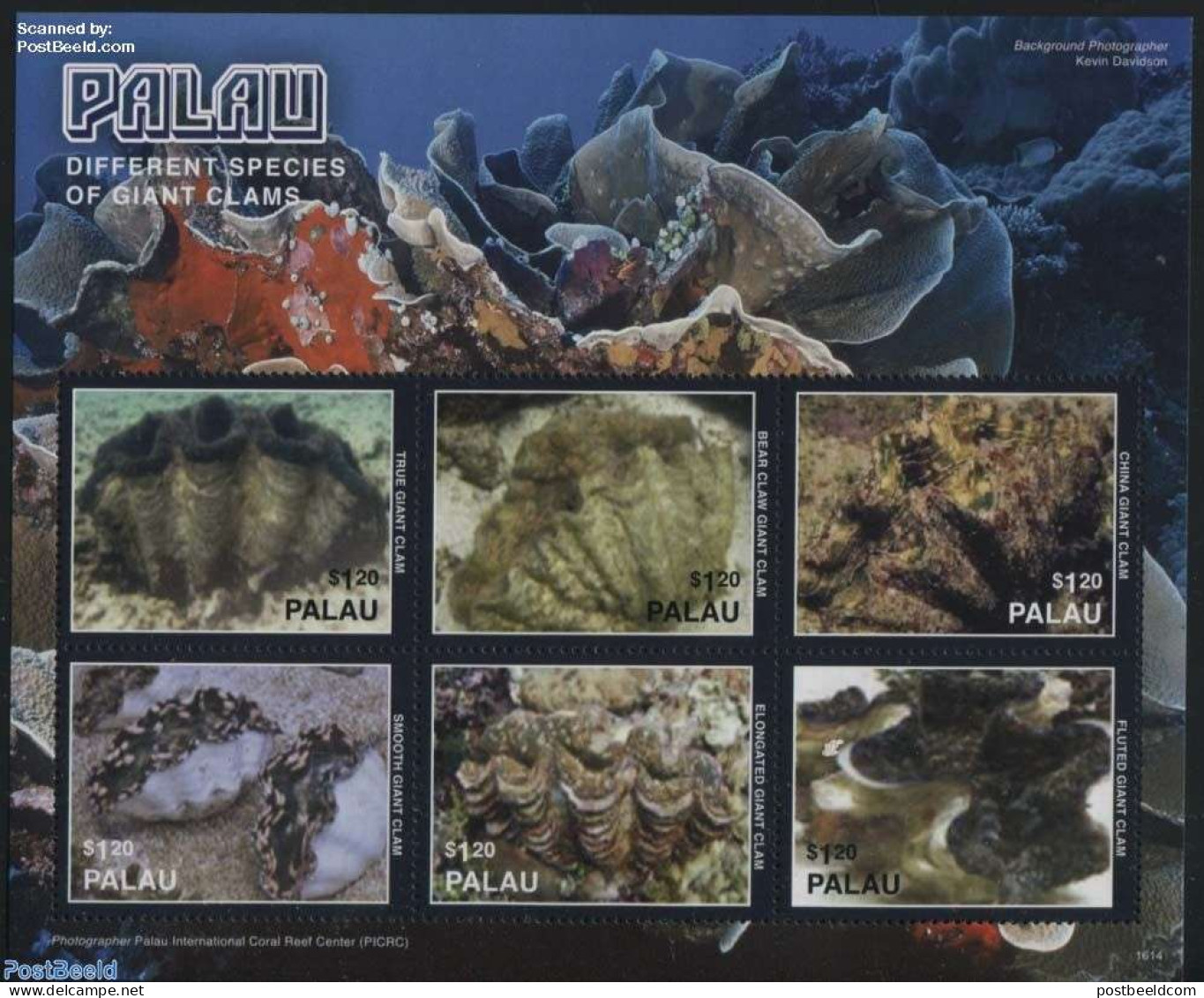 Palau 2016 Giant Clams 6v M/s, Mint NH, Nature - Shells & Crustaceans - Marine Life