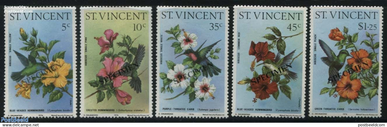 Saint Vincent 1976 Hummingbirds, Hibiscus 5v, SPECIMEN, Mint NH, Flowers & Plants - St.Vincent (1979-...)