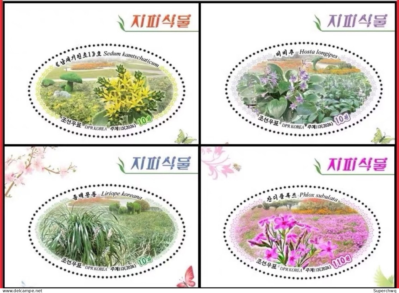 Korea North 2024 Ground Cover Plant (Fei Cai Long Handled Jade Hairpin Mai Dong Tian Lan Xiu Qiu),4v MNH - Korea, North