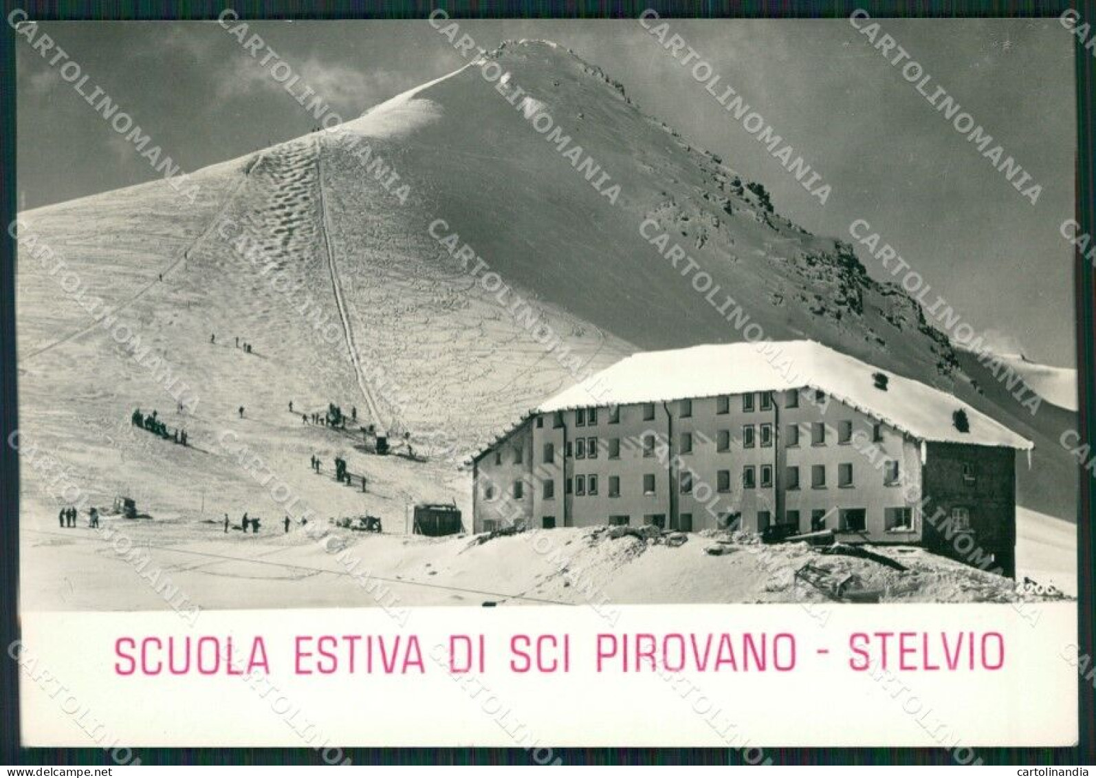 Sondrio Passo Dello Stelvio Pirovano Sci FG Foto Cartolina KVM1396 - Sondrio