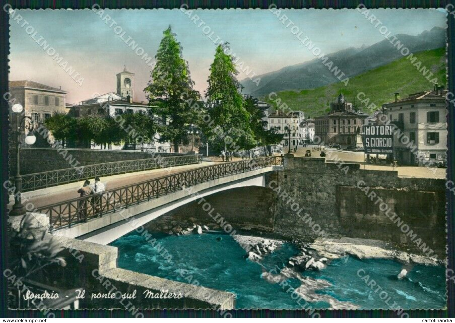 Sondrio Città FG Foto Cartolina KVM1404 - Sondrio