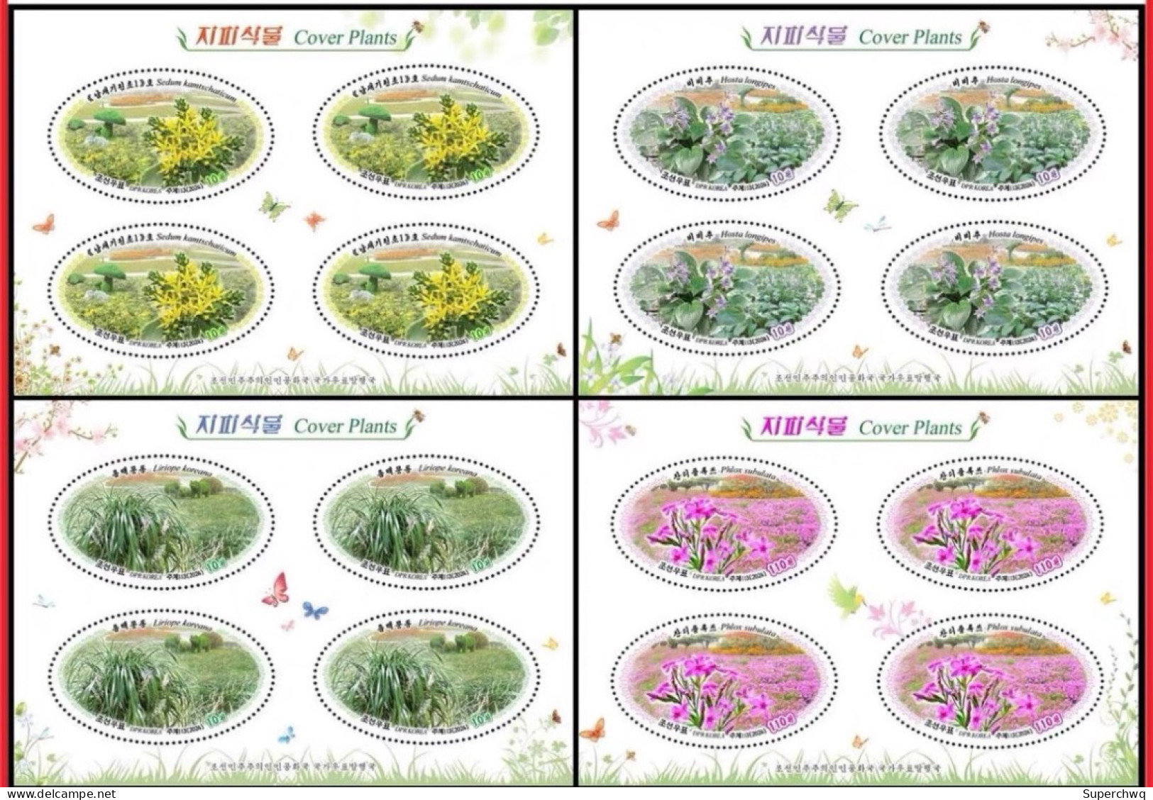 Korea North 2024 Ground Cover Plant (Fei Cai Long Handled Jade Hairpin Mai Dong Tian Lan Xiu Qiu),sheetlet MNH - Korea, North