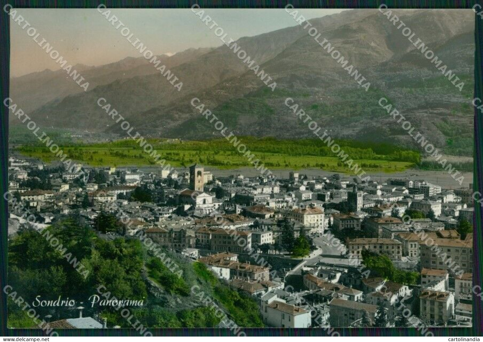 Sondrio Città FG Foto Cartolina KVM1406 - Sondrio