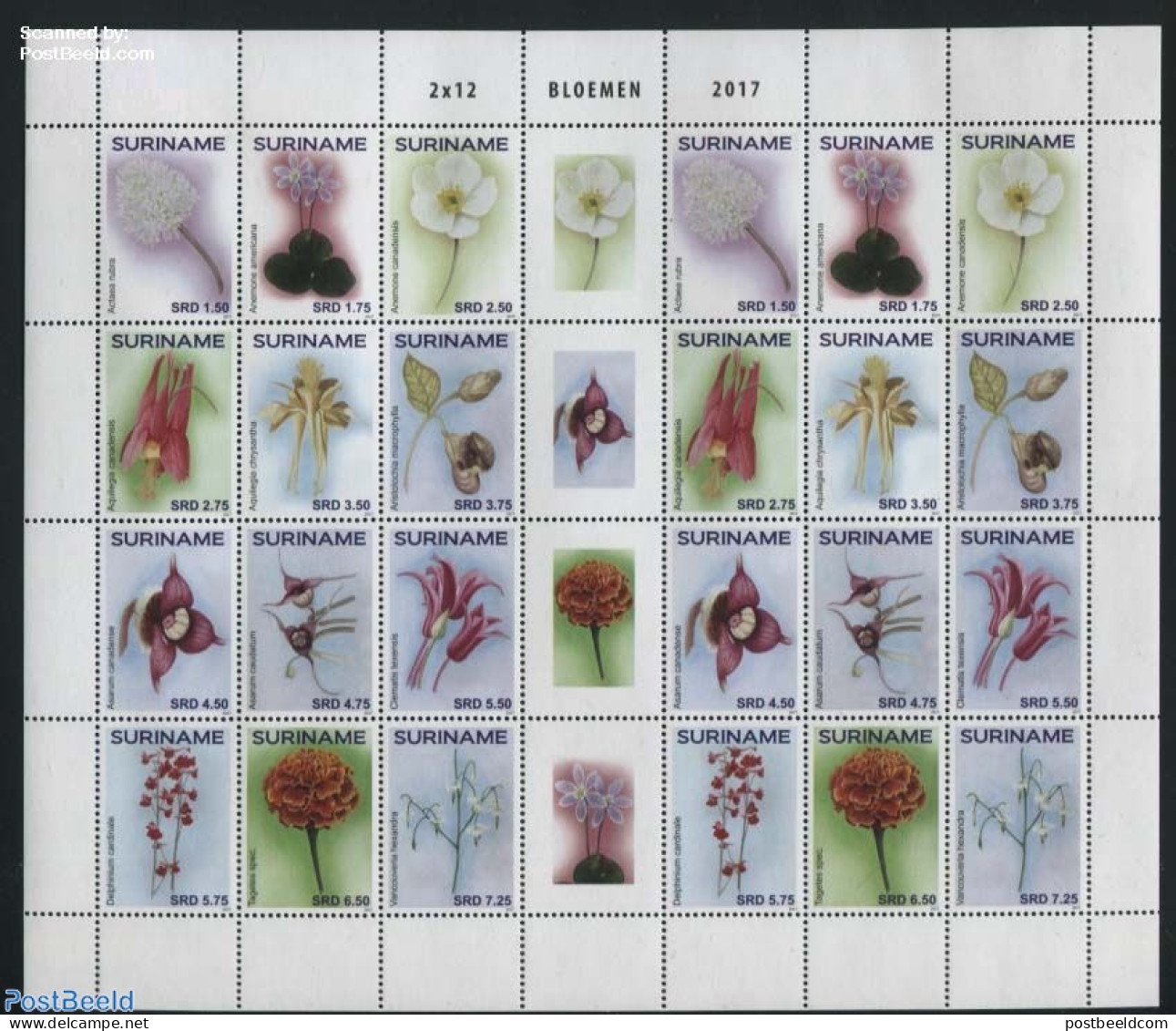 Suriname, Republic 2017 Flowers M/s, Mint NH, Flowers & Plants - Surinam