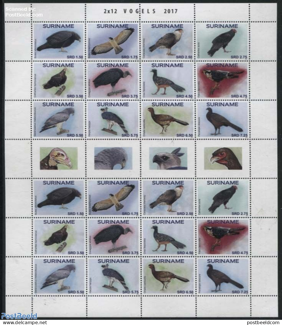 Suriname, Republic 2017 Birds M/s, Mint NH, Nature - Birds - Surinam