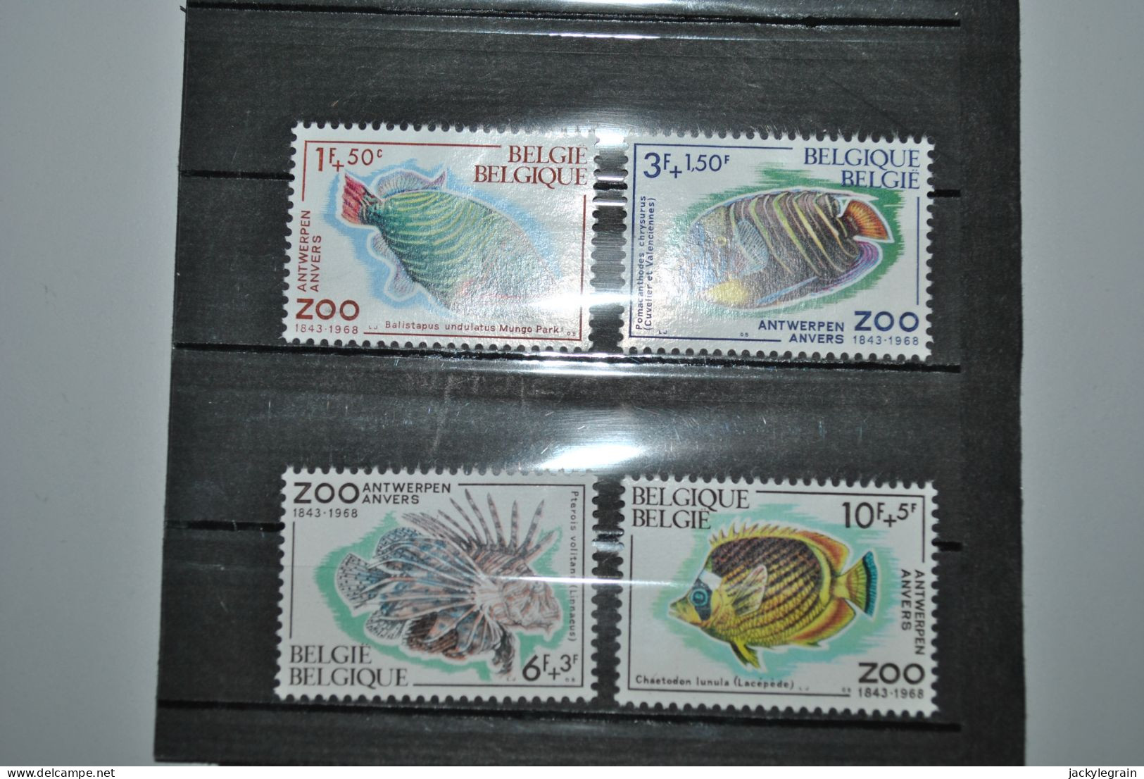 Belgique 1968 Zoo Anvers MNH Complet - Nuevos