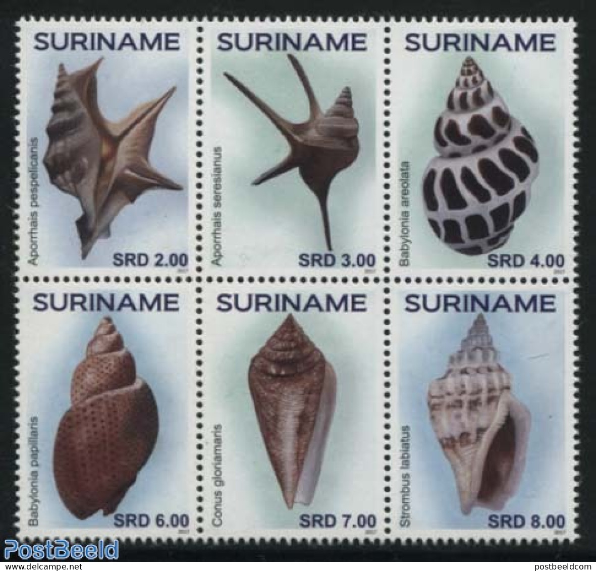 Suriname, Republic 2017 Shells 6v [++], Mint NH, Nature - Shells & Crustaceans - Mundo Aquatico