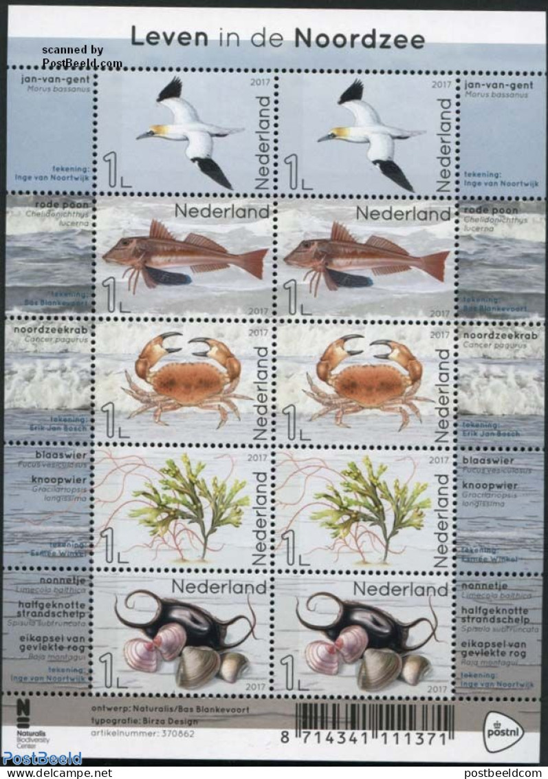 Netherlands 2017 Life In The North Sea M/s (with 2 Sets), Mint NH, Nature - Birds - Fish - Shells & Crustaceans - Crab.. - Ungebraucht