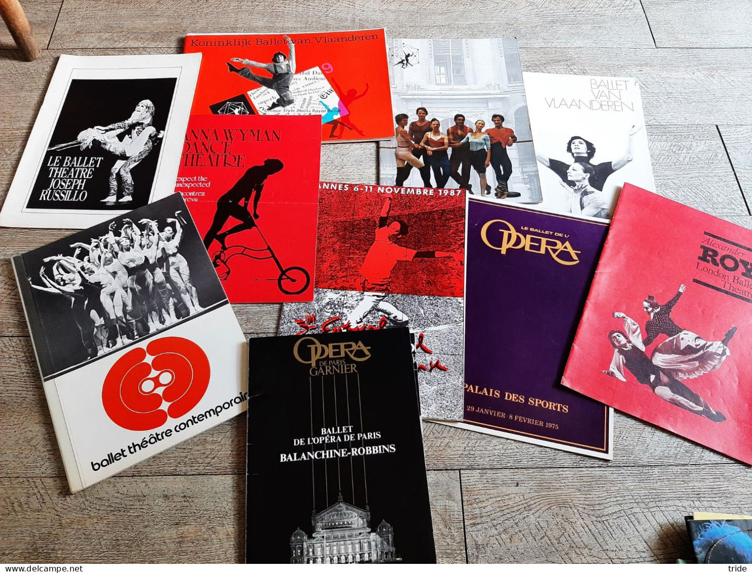 9 Programmes Danse Ballet Vlaanderen Opéra De Paris Roy Wyman Russillo - Programmes