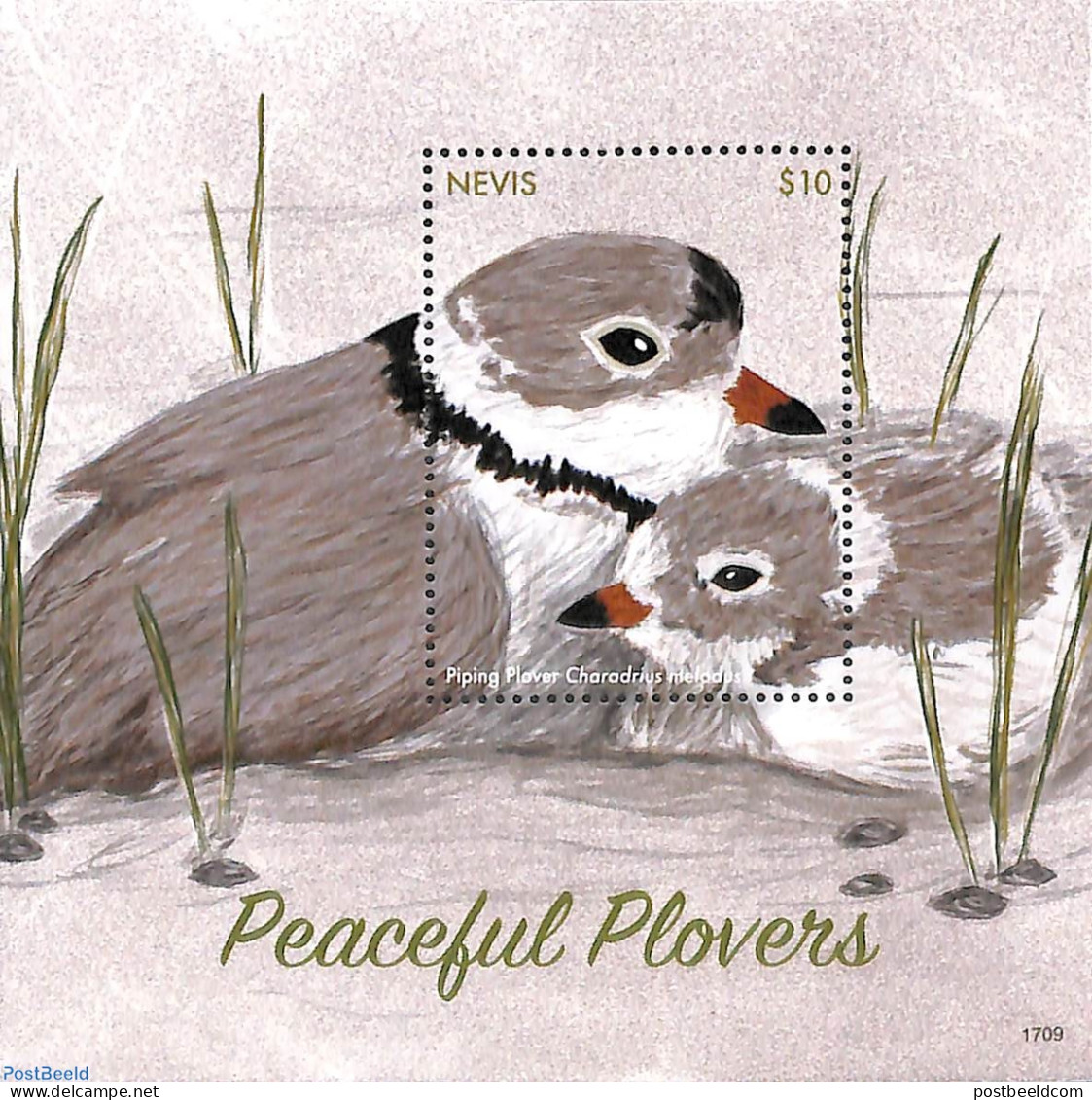 Nevis 2017 Peacefull Plovers S/s, Mint NH, Nature - Birds - St.Kitts-et-Nevis ( 1983-...)
