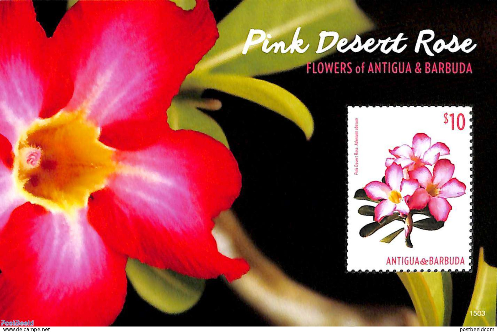 Antigua & Barbuda 2015 Pink Desert Rose S/s, Mint NH, Nature - Flowers & Plants - Antigua Y Barbuda (1981-...)