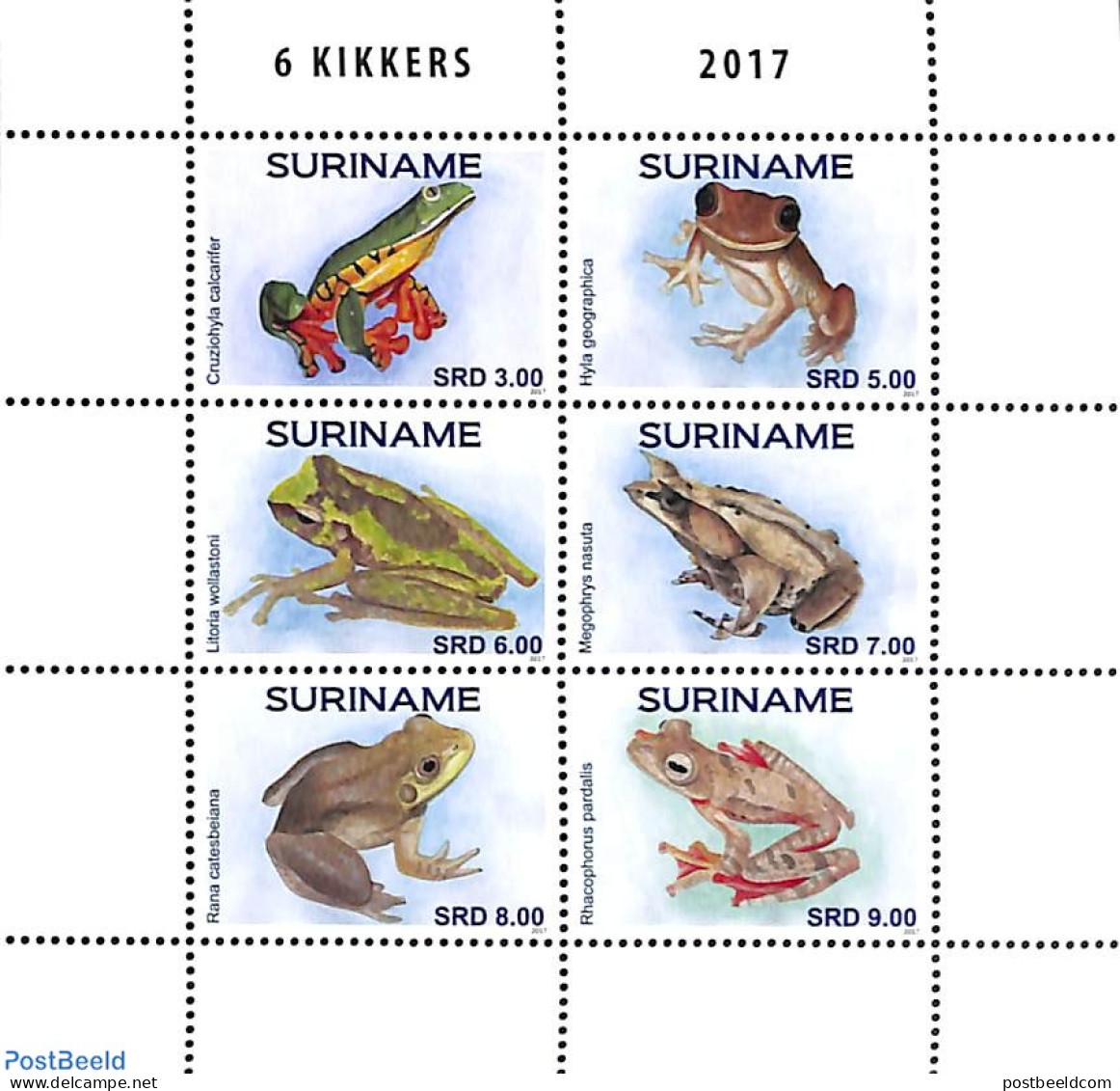 Suriname, Republic 2017 Frogs  6v M/s, Mint NH, Nature - Frogs & Toads - Reptiles - Suriname