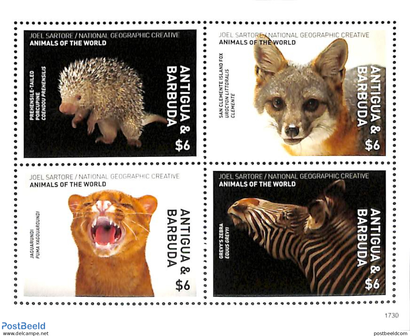 Antigua & Barbuda 2017 Animals Of The World 4v M/s, Mint NH, Nature - Animals (others & Mixed) - Cat Family - Hedgehog.. - Antigua And Barbuda (1981-...)