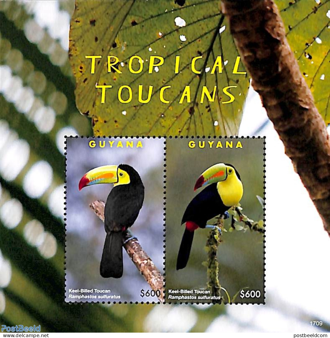 Guyana 2017 Tropical Toucans 2v M/s, Mint NH, Nature - Birds - Guyane (1966-...)
