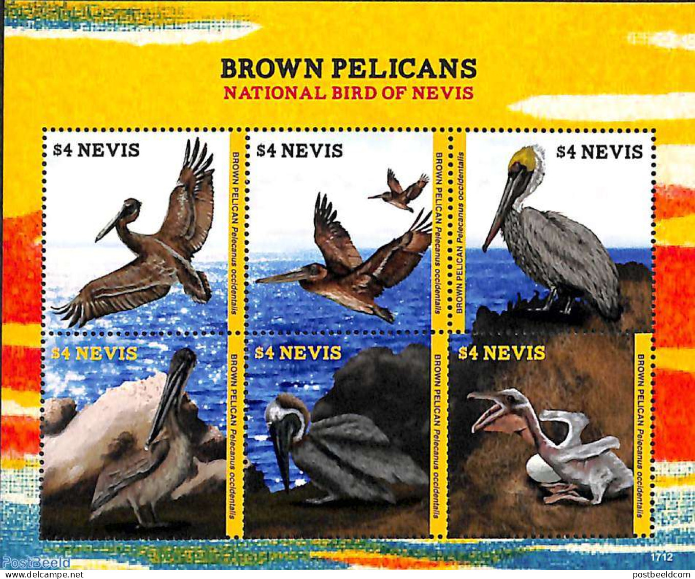Nevis 2017 Brown Pelicans 6v M/s, Mint NH, Nature - Birds - St.Kitts-et-Nevis ( 1983-...)