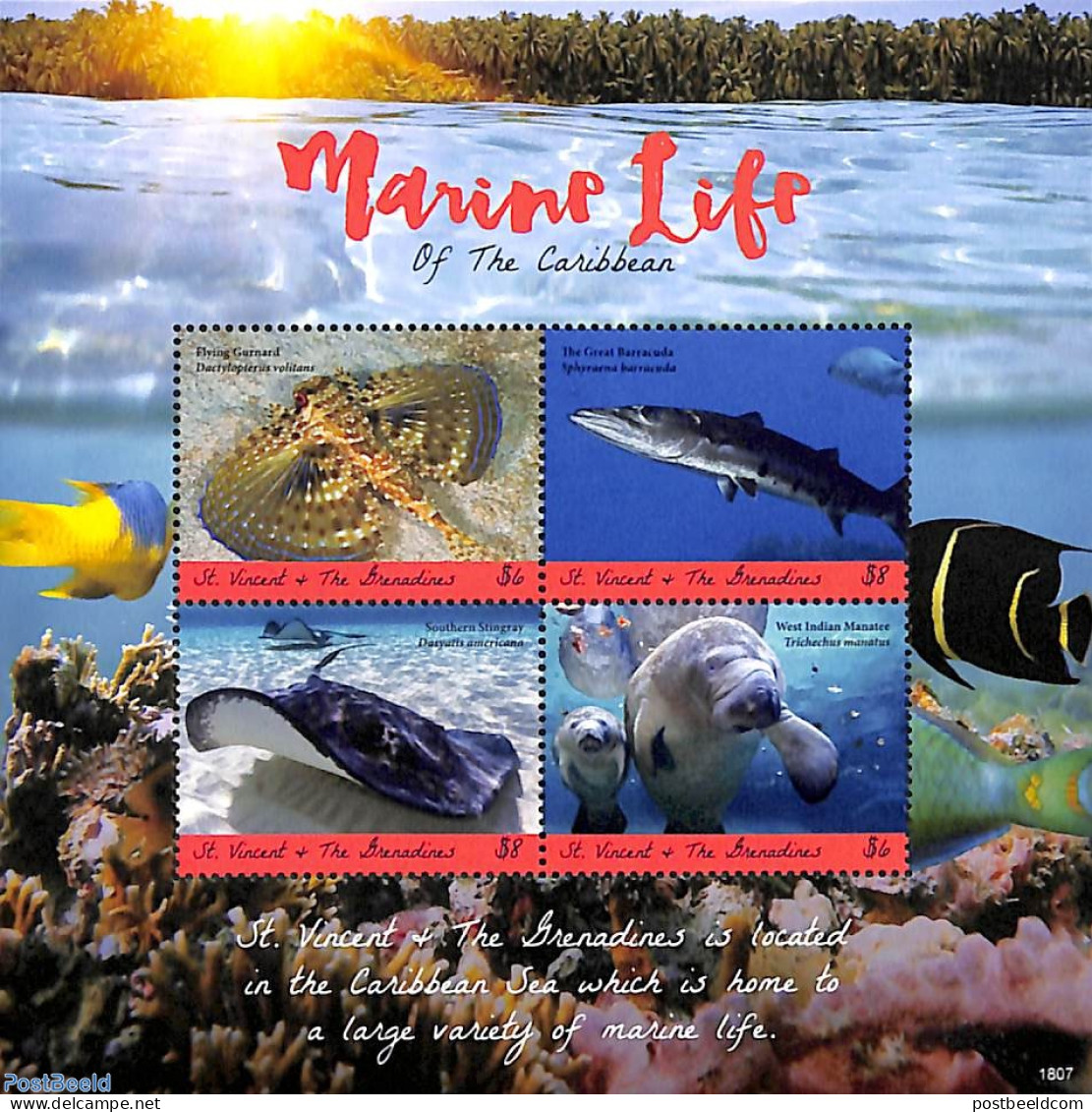 Saint Vincent 2018 Marine Life 4v M/s, Mint NH, Nature - Fish - Sea Mammals - Fishes