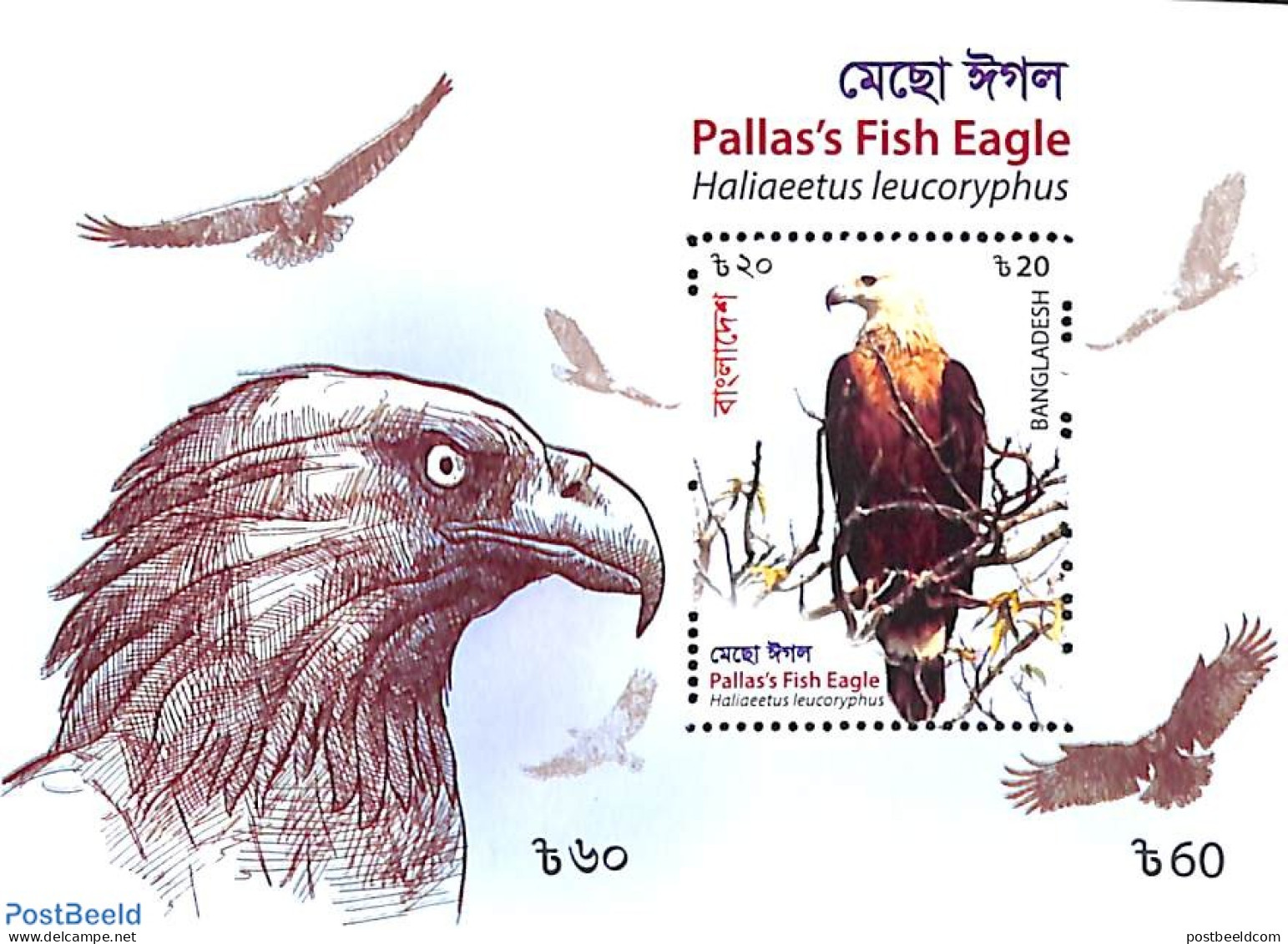 Bangladesh 2018 Birds Of Prey S/s, Mint NH, Nature - Birds - Birds Of Prey - Bangladesch