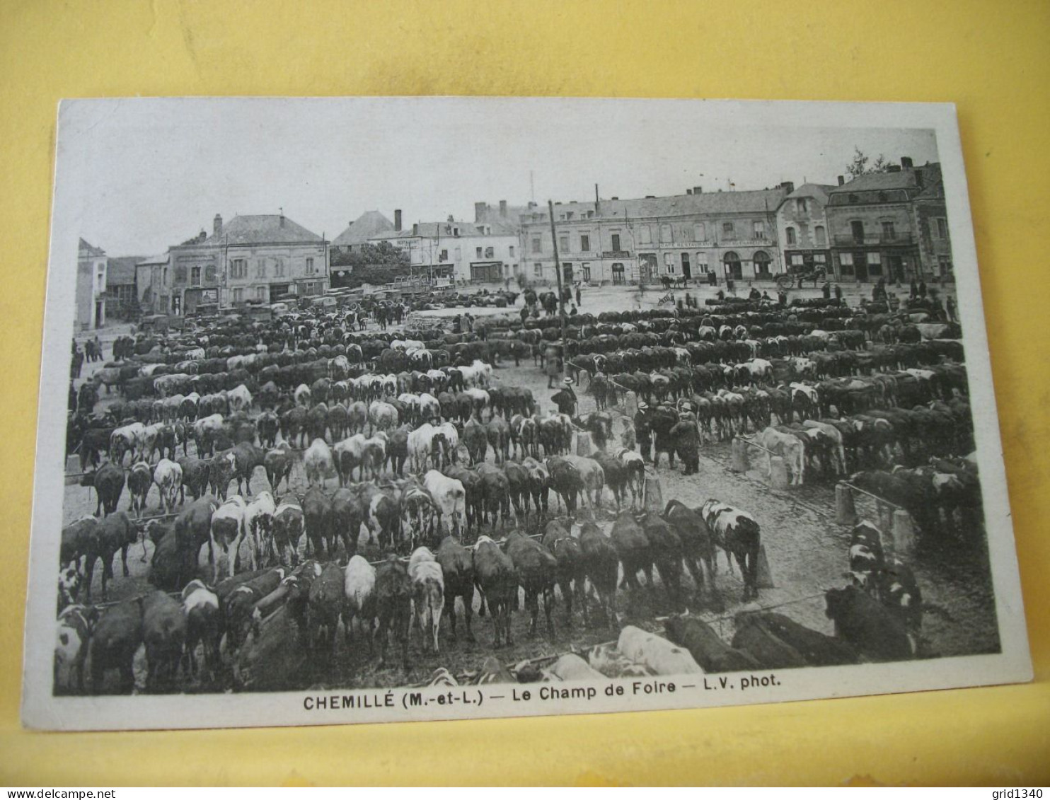 4J 2639 CPA 1938 - 49 CHEMILLE - LE CHAMP DE FOIRE - ANIMATION - Chemille