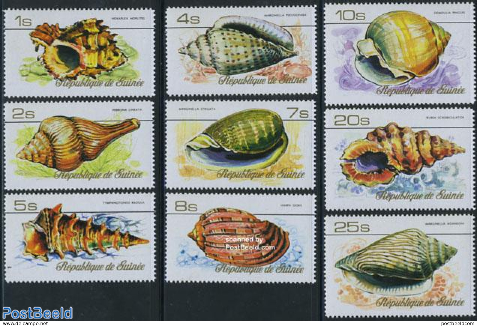 Guinea, Republic 1977 Shells 9v, Unused (hinged), Nature - Shells & Crustaceans - Marine Life