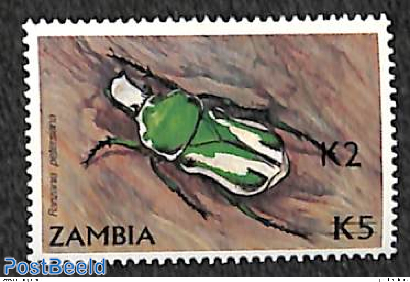 Zambia 1991 Beetle 2K On 5k 1v, Mint NH, Nature - Insects - Zambie (1965-...)