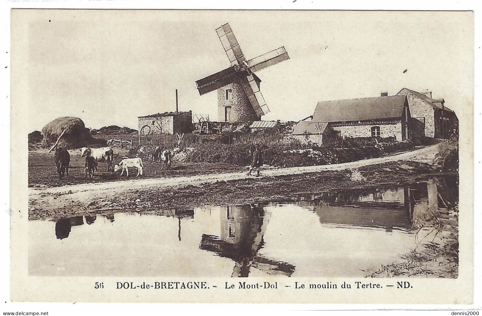 Dol De Bretagne (35) - Le Mont Dol - Le Moulin Du Tertre - MOULIN A VENT - WINDMILL - WINDMUEHLE - Ed. ND. - Dol De Bretagne