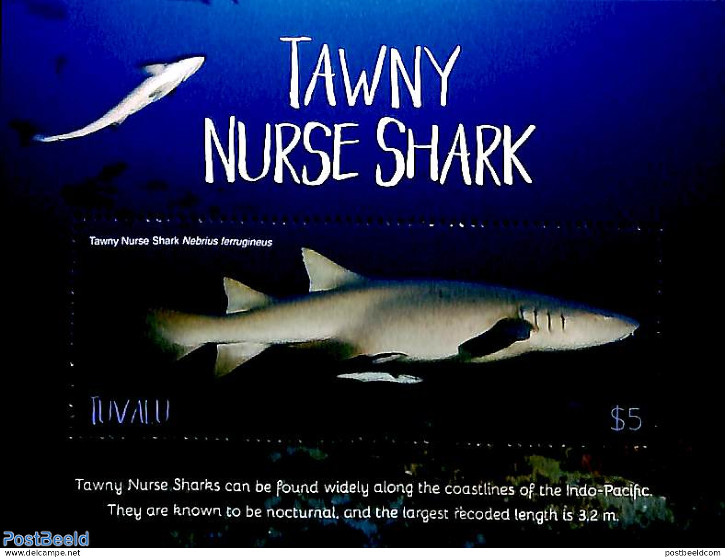 Tuvalu 2018 Tawny Nurse Shark S/s, Mint NH, Nature - Fish - Sharks - Fishes