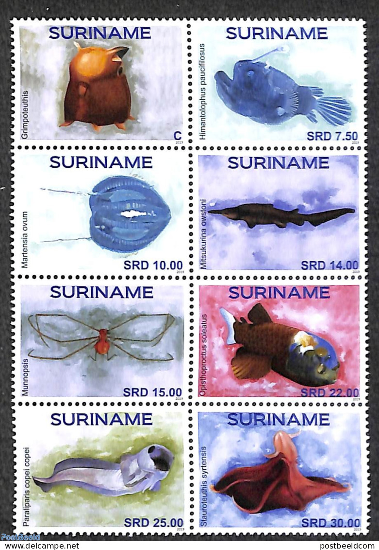 Suriname, Republic 2019 Fish 8v [+++], Mint NH, Nature - Fish - Poissons