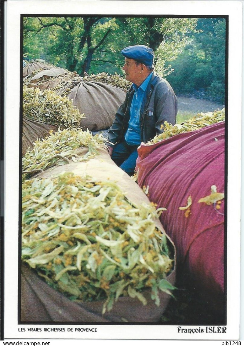 Agriculture > Marché Au Tilleul Les Vraies Richesses De Provence - Culturas