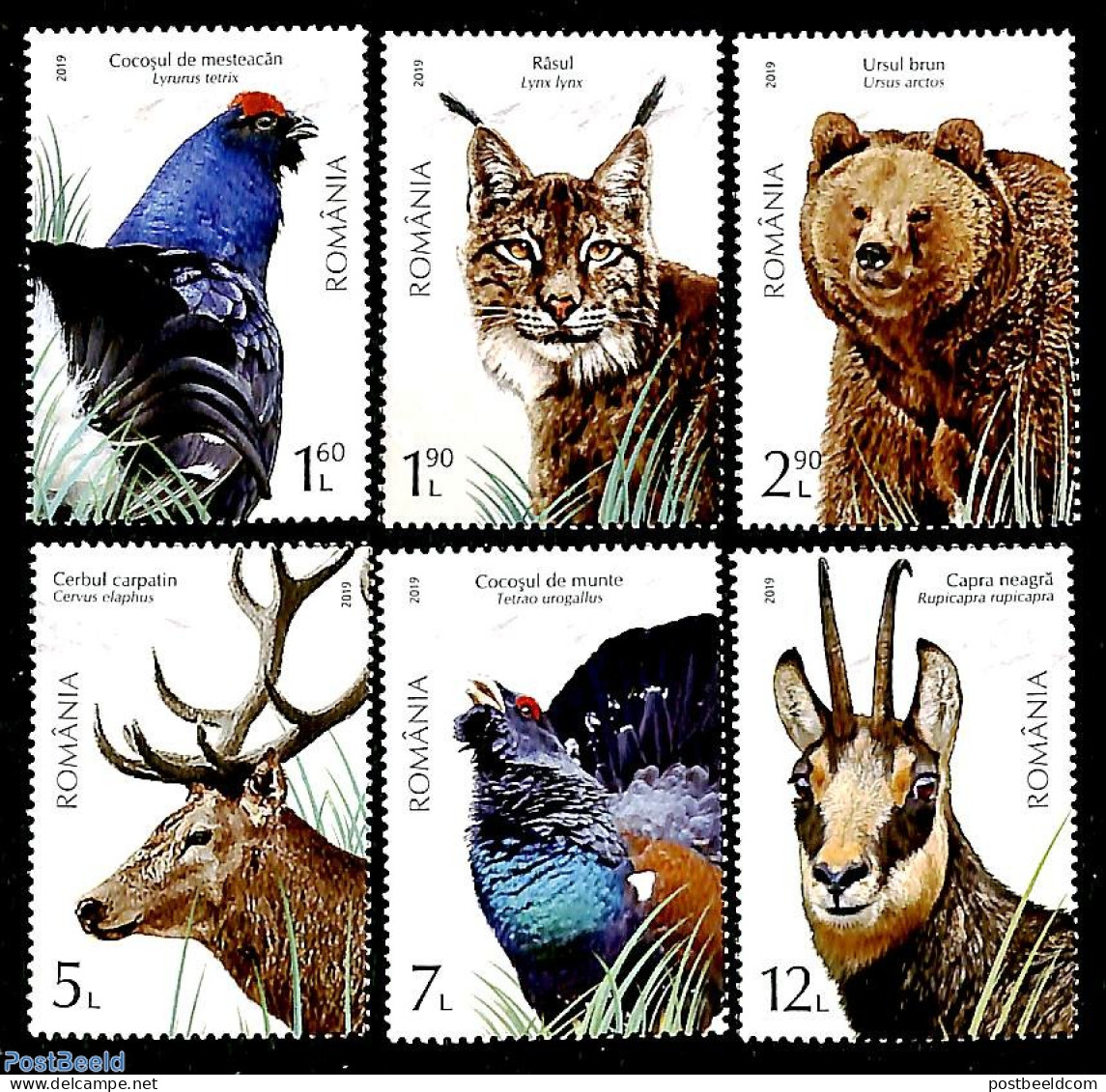 Romania 2019 Protected Fauna 6v, Mint NH, Nature - Animals (others & Mixed) - Bears - Birds - Cat Family - Deer - Poul.. - Unused Stamps