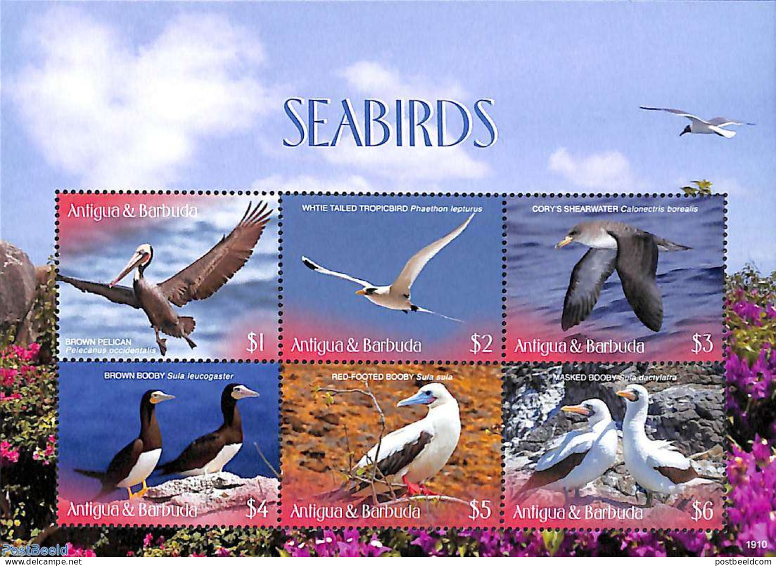 Antigua & Barbuda 2019 Seabirds 6v M/s, Mint NH, Nature - Birds - Antigua En Barbuda (1981-...)