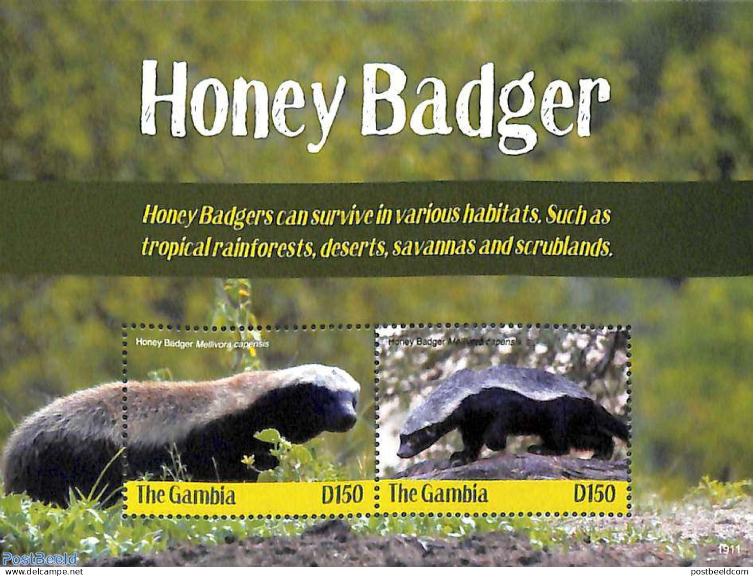 Gambia 2019 Honey Badger 2v M/s, Mint NH, Nature - Animals (others & Mixed) - Wild Mammals - Gambia (...-1964)