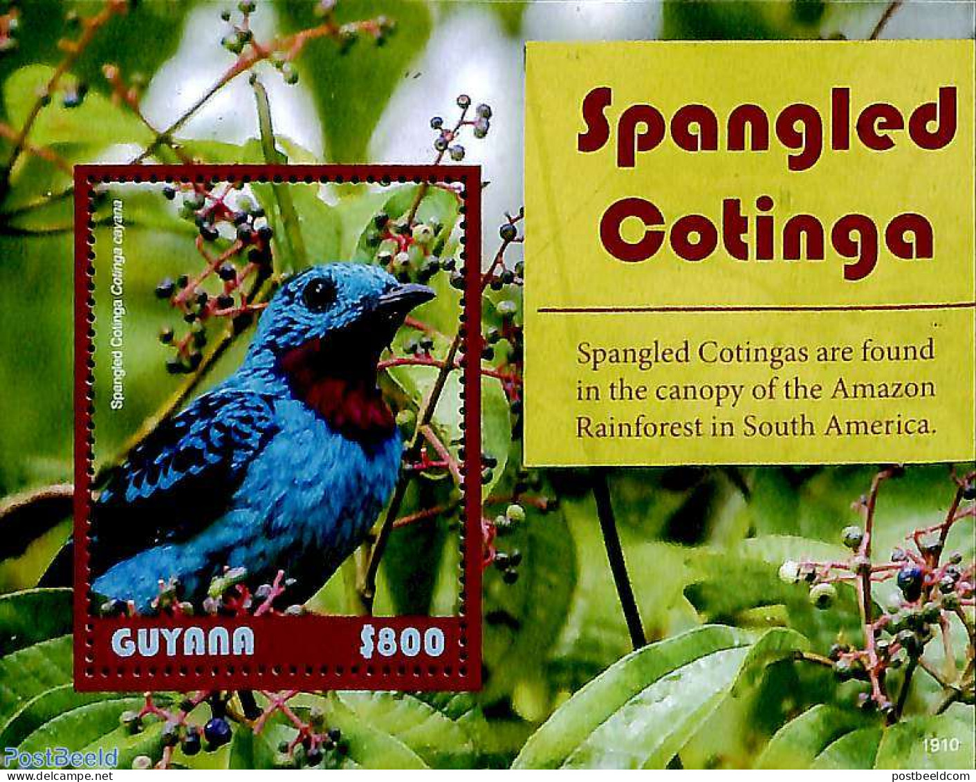 Guyana 2019 Spangled Cotinga S/s, Mint NH, Nature - Birds - Guiana (1966-...)