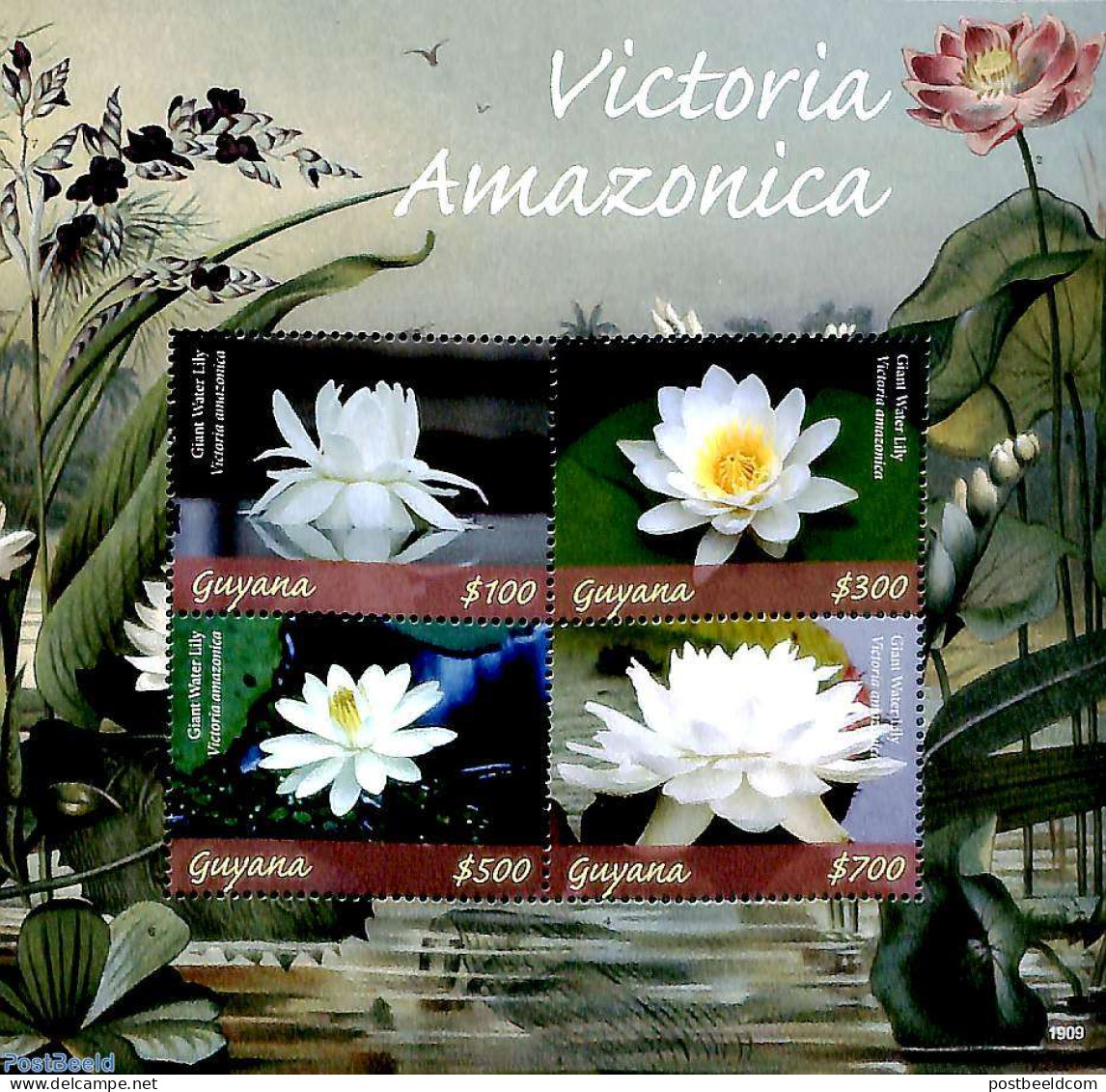 Guyana 2019 Victoria Amazonica 4v M/s, Mint NH, Nature - Flowers & Plants - Guiana (1966-...)