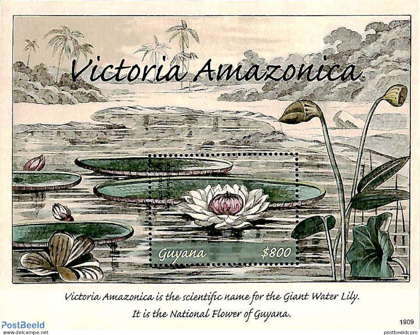 Guyana 2019 Victoria Amazonica S/s, Mint NH, Nature - Flowers & Plants - Guyana (1966-...)