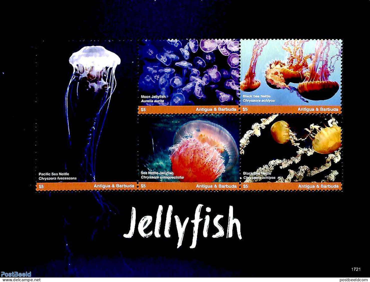 Antigua & Barbuda 2017 Jellyfish 5v M/s, Mint NH, Nature - Shells & Crustaceans - Marine Life