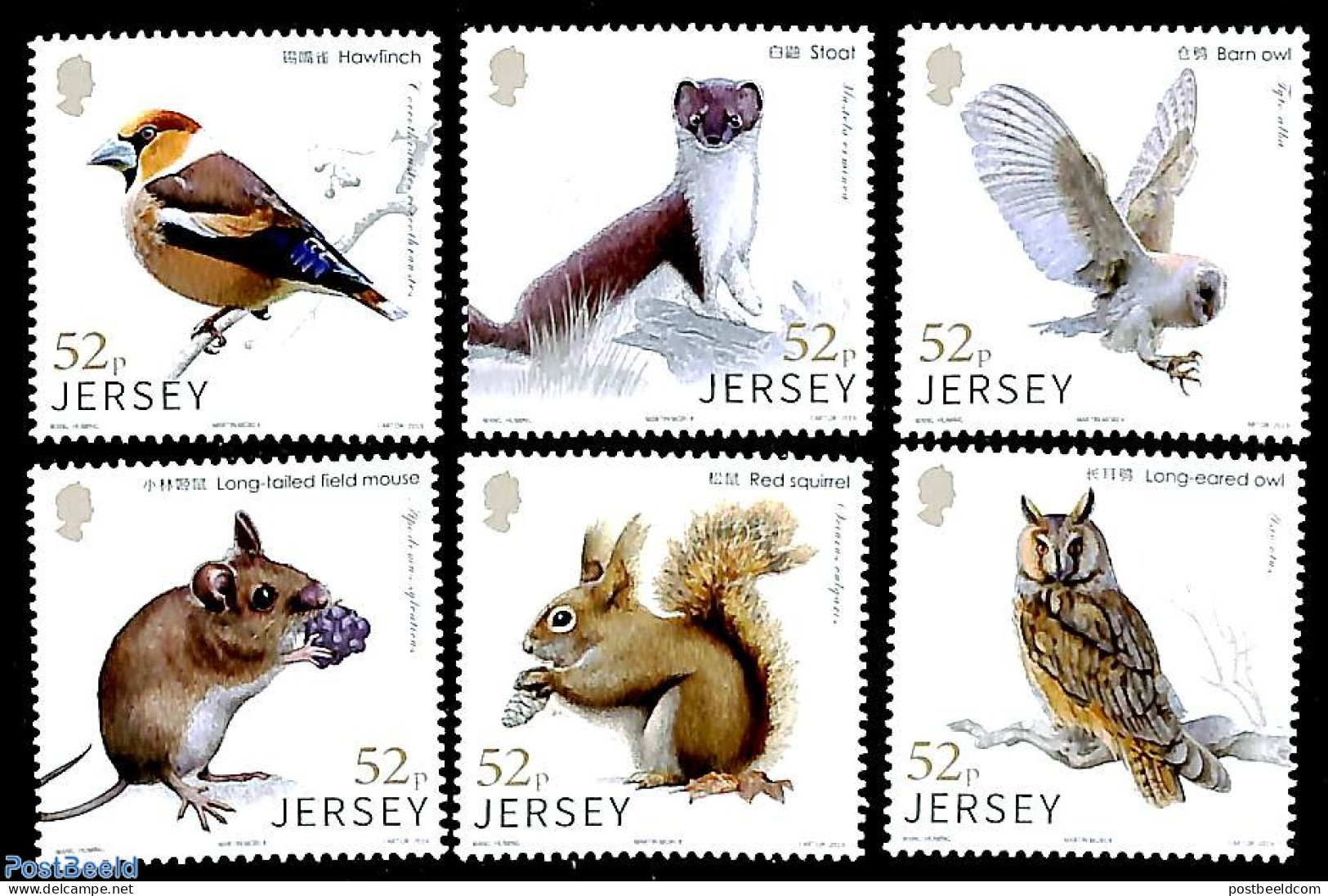 Jersey 2019 Wildlife 6v, Links With China, Mint NH, Nature - Animals (others & Mixed) - Birds - Owls - Wild Mammals - Jersey