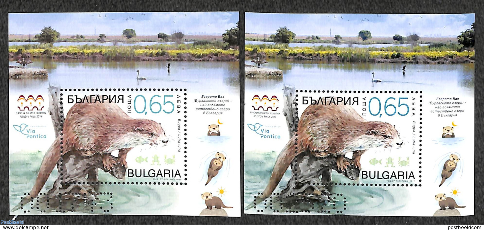 Bulgaria 2019 Otter 2 S/s (with And Without Phosphor/gum), Mint NH, Nature - Animals (others & Mixed) - Wild Mammals - Unused Stamps