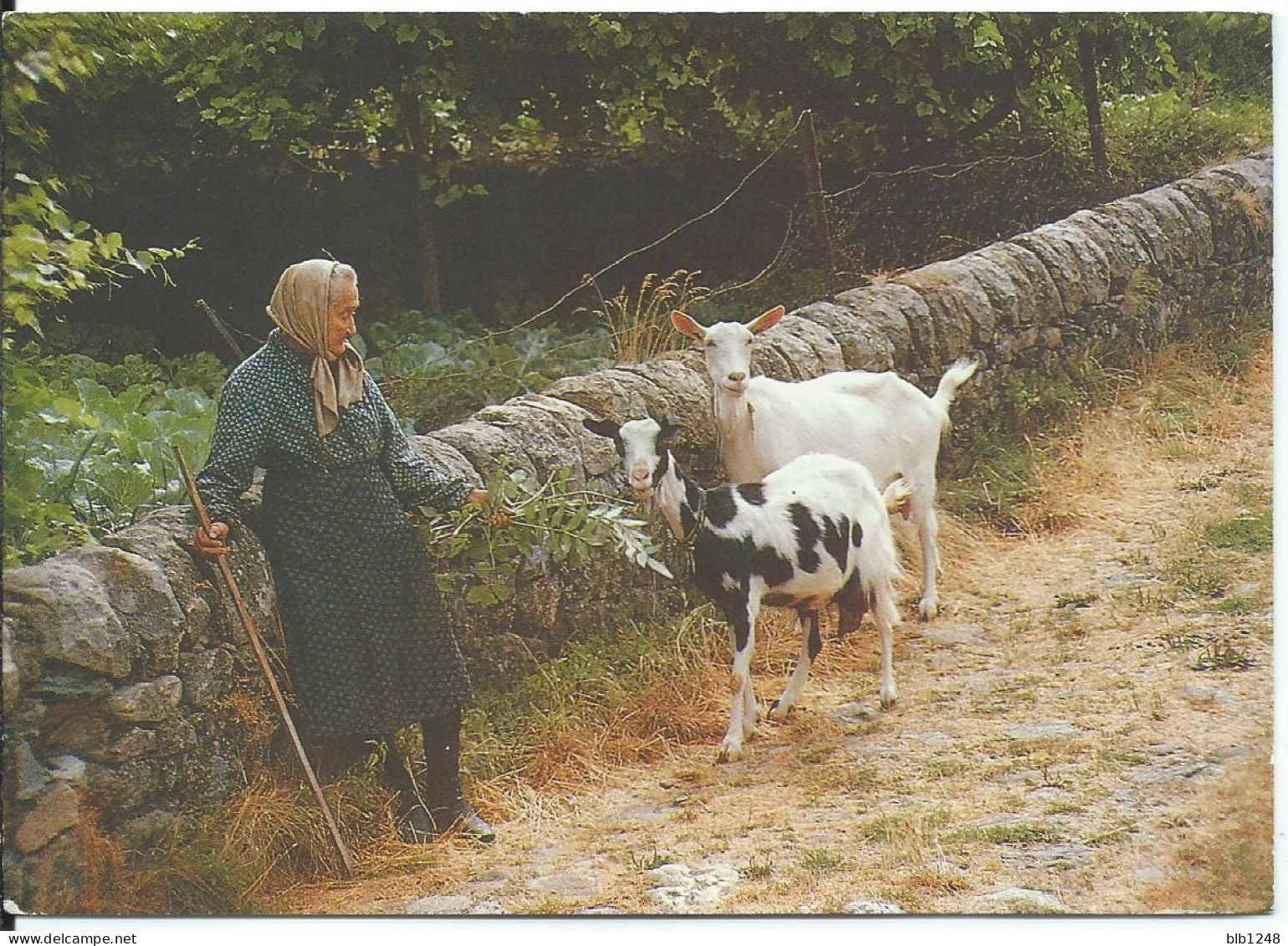 La Mamie Et Ses Chevres  Il Etait Une Fois Le Bonheur Simple - Veeteelt