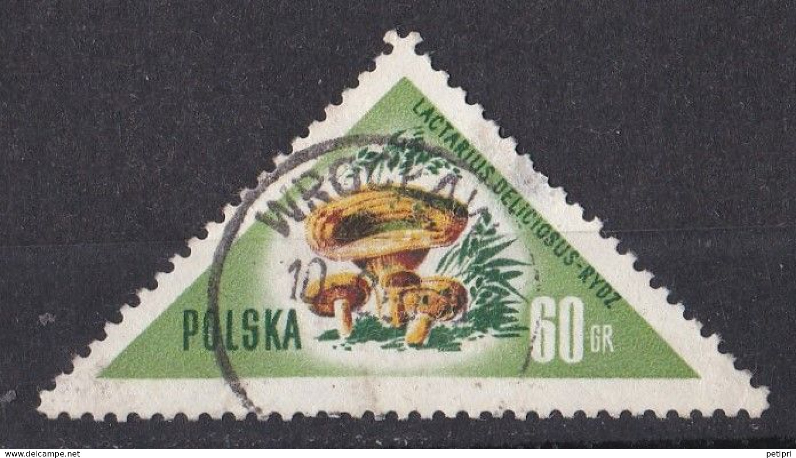 Pologne - République 1944 - 1960   Y & T N °  962  Oblitéré - Oblitérés