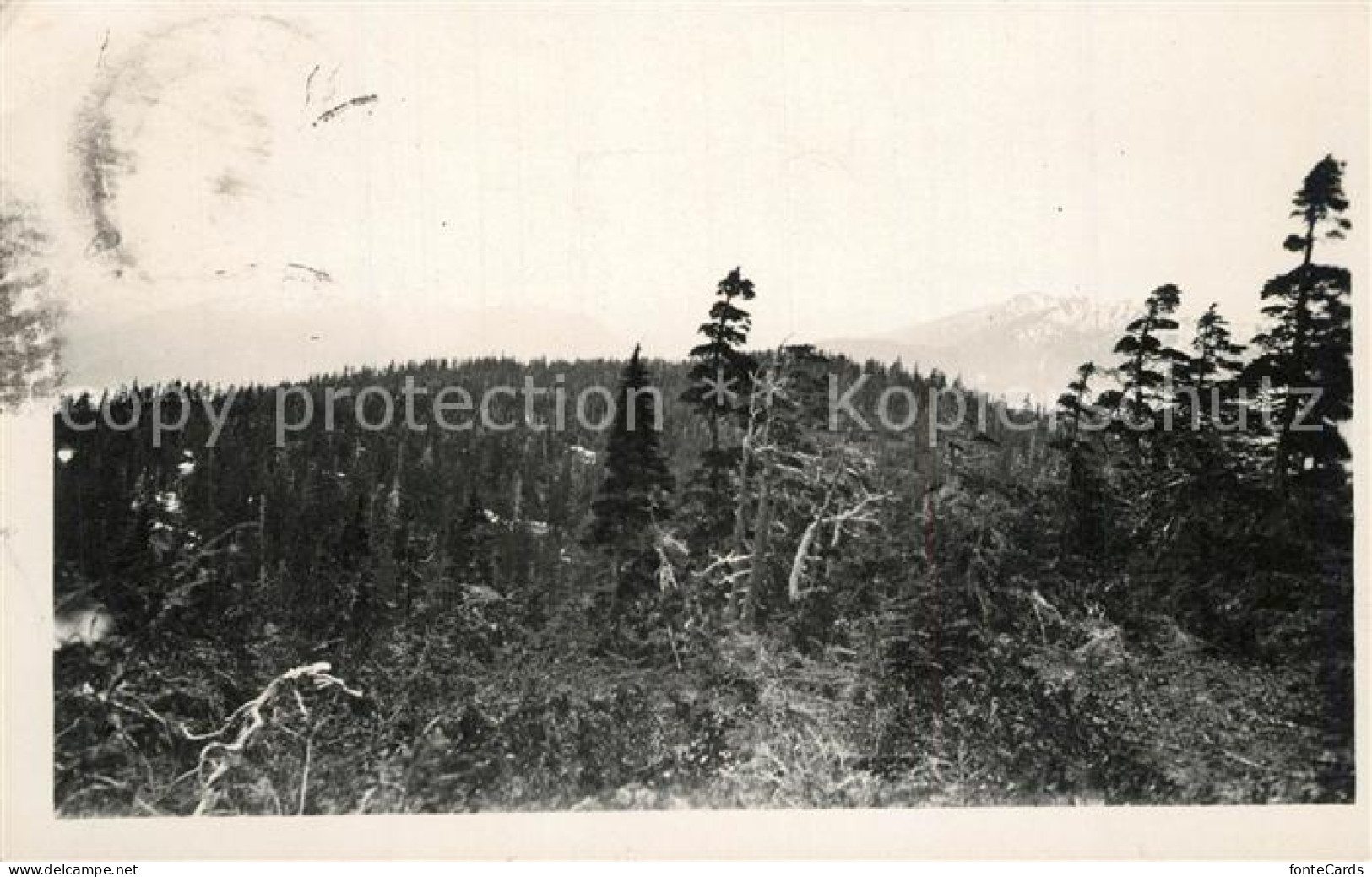 73304160 Wrangell_Alaska Panorama - Other & Unclassified